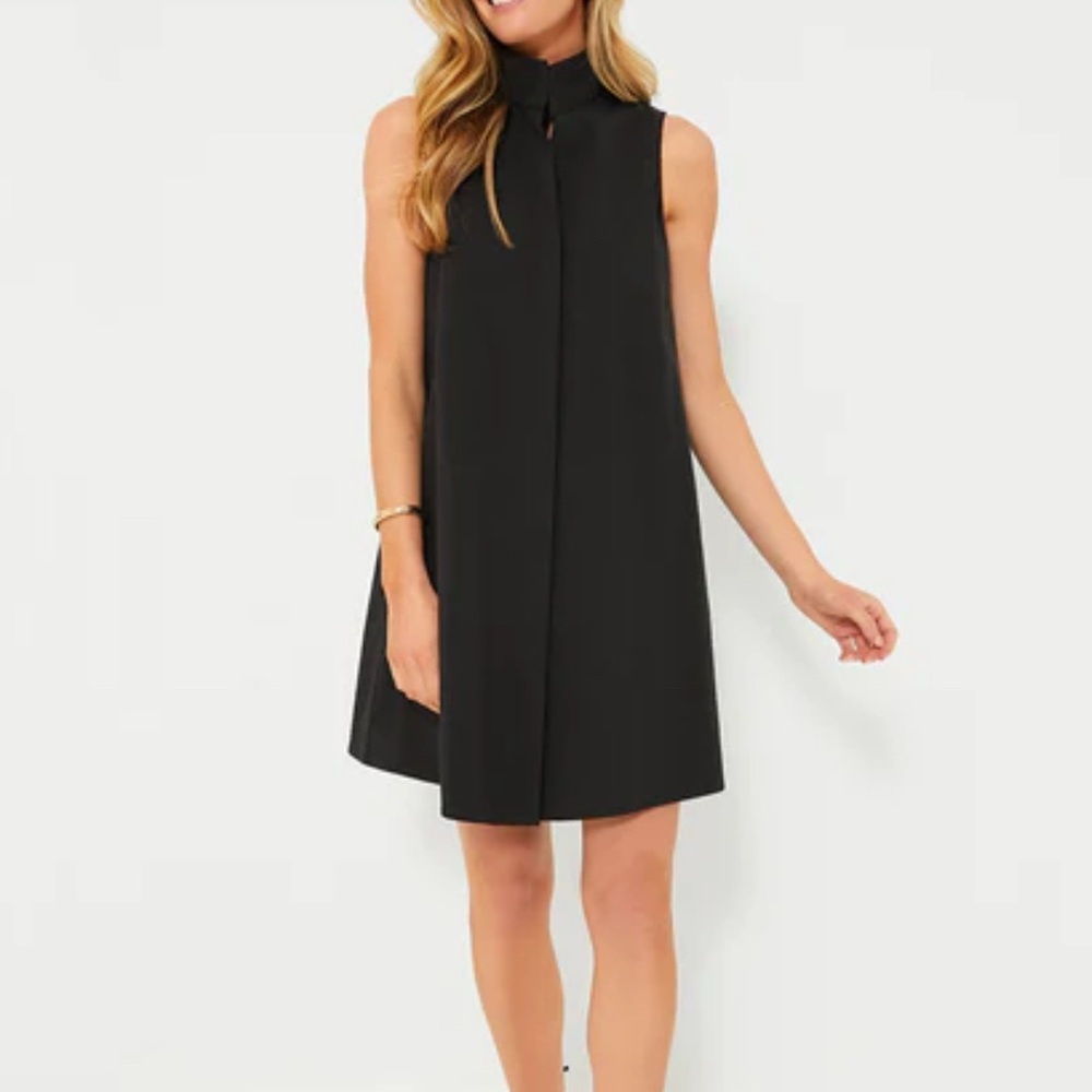 Tuckernuck Black Sleeveless Charlie Dress - Picture 2 of 5